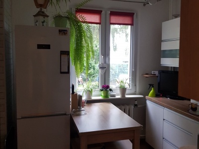 Nieruchomość 49m²